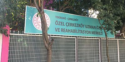 Çerkezköy Uzman Rehabilitasyon: Ses Hastalıkları Nelerdir?